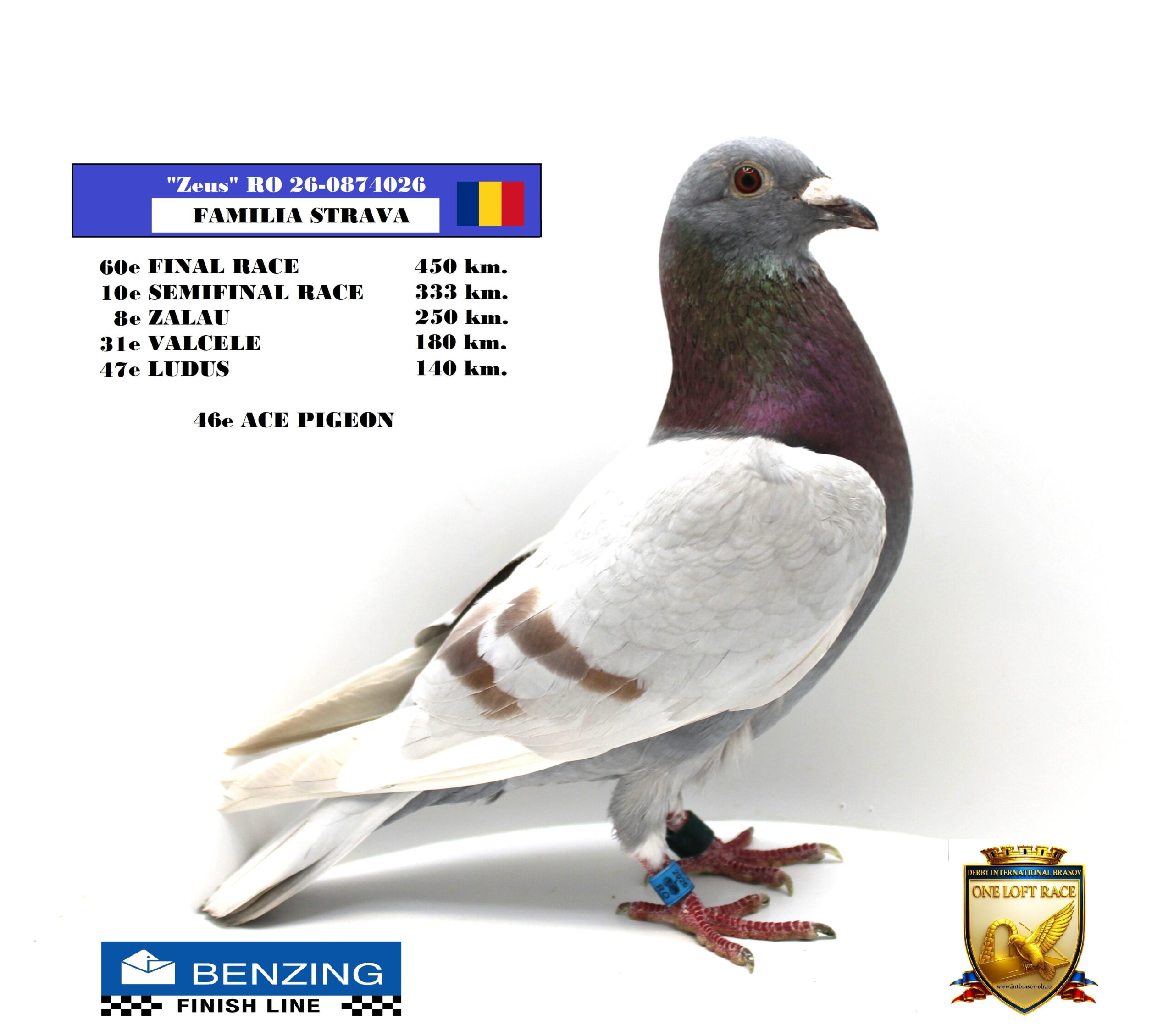 RO 26-0874026