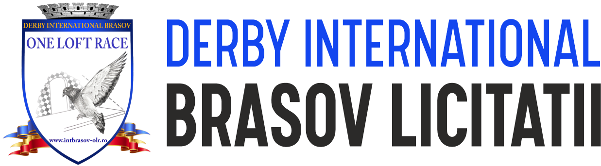 Derby Internacional Brasov OLR
