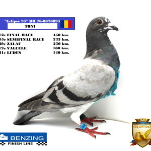 RO 26-0878895