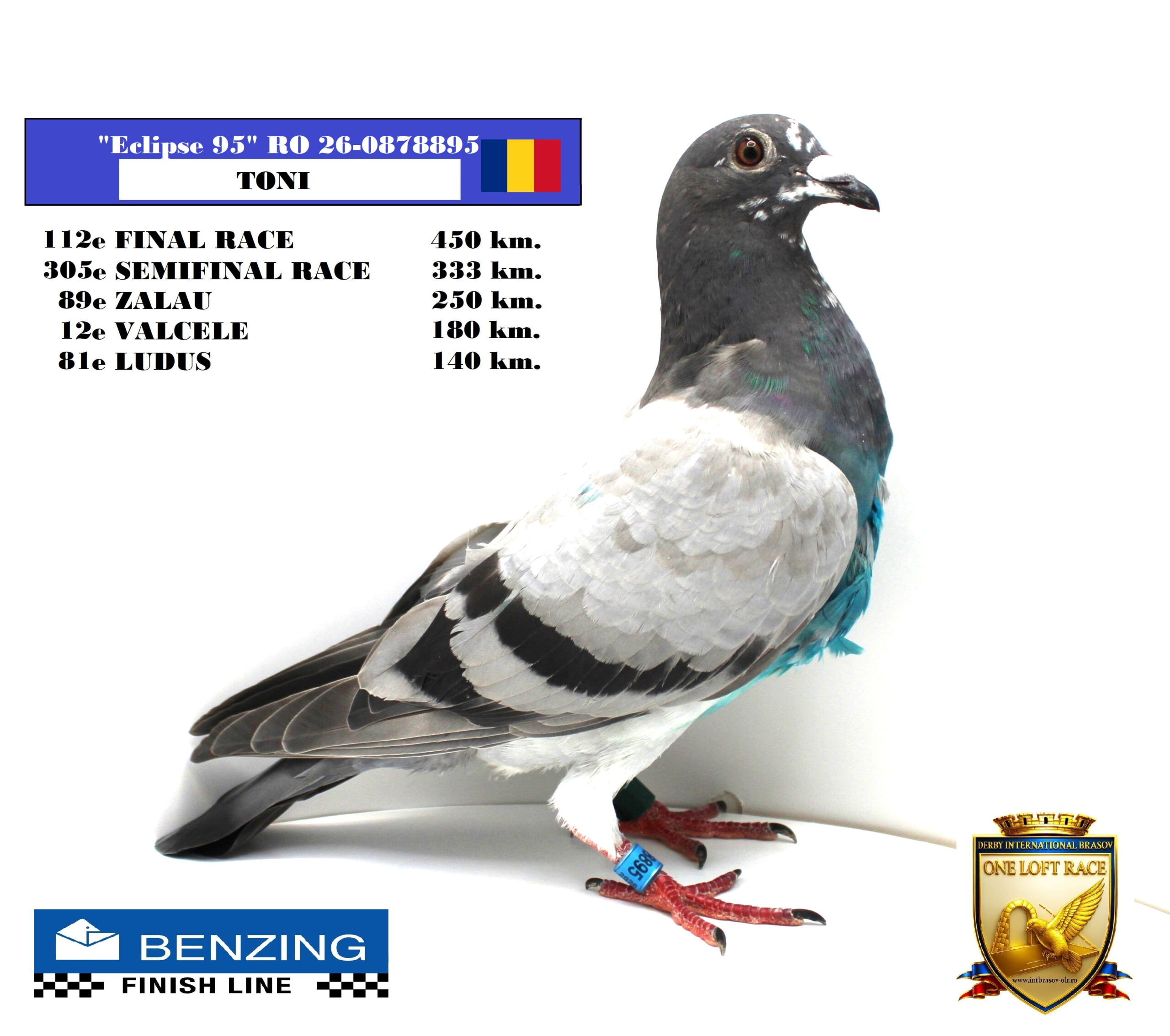 RO 26-0878895