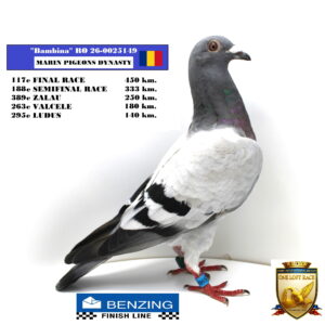 RO 26-0025149