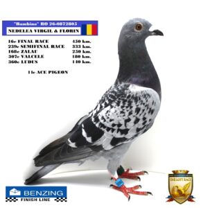 RO 26-0872805