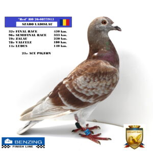 RO 26-0877915