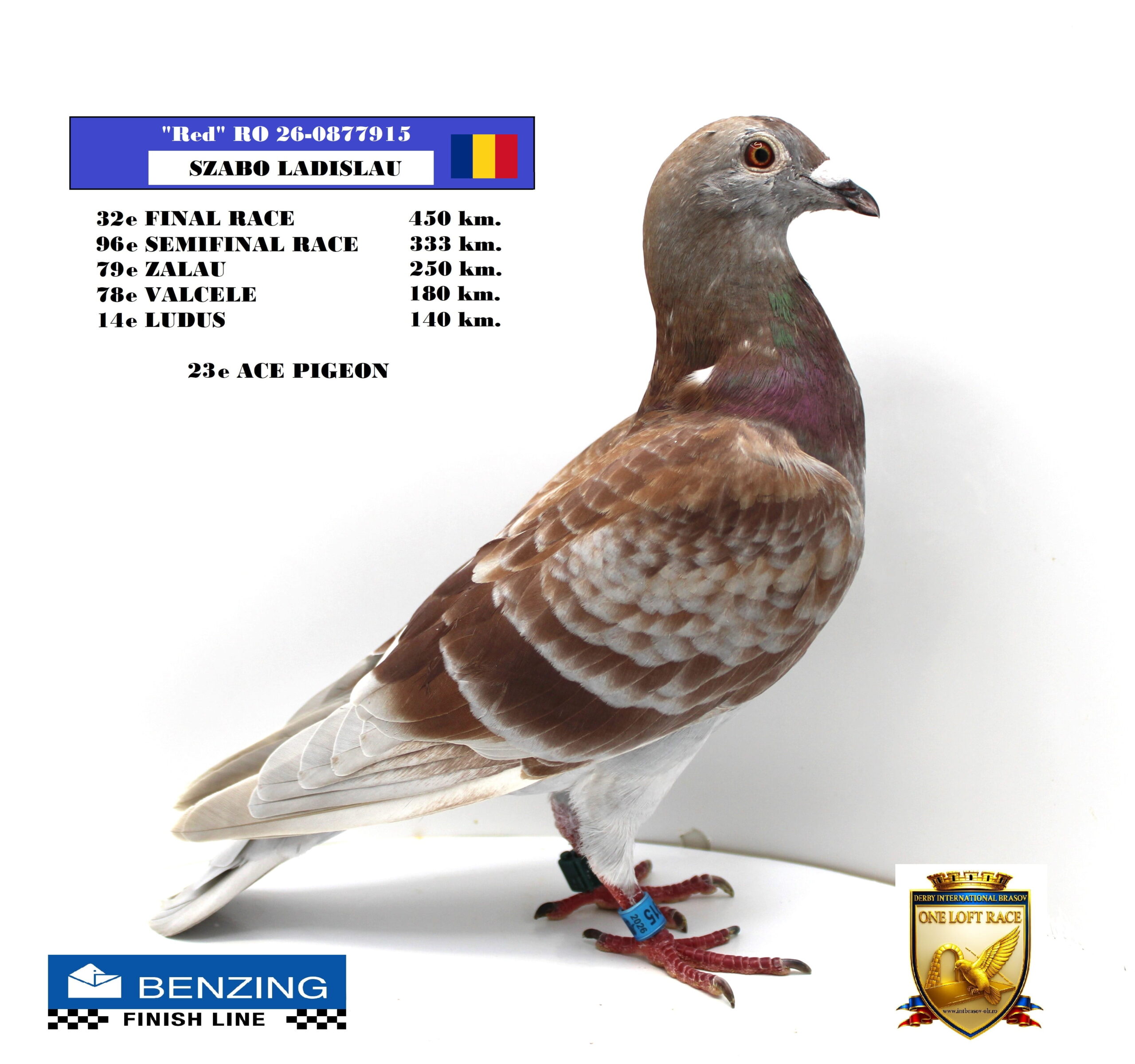 RO 26-0877915