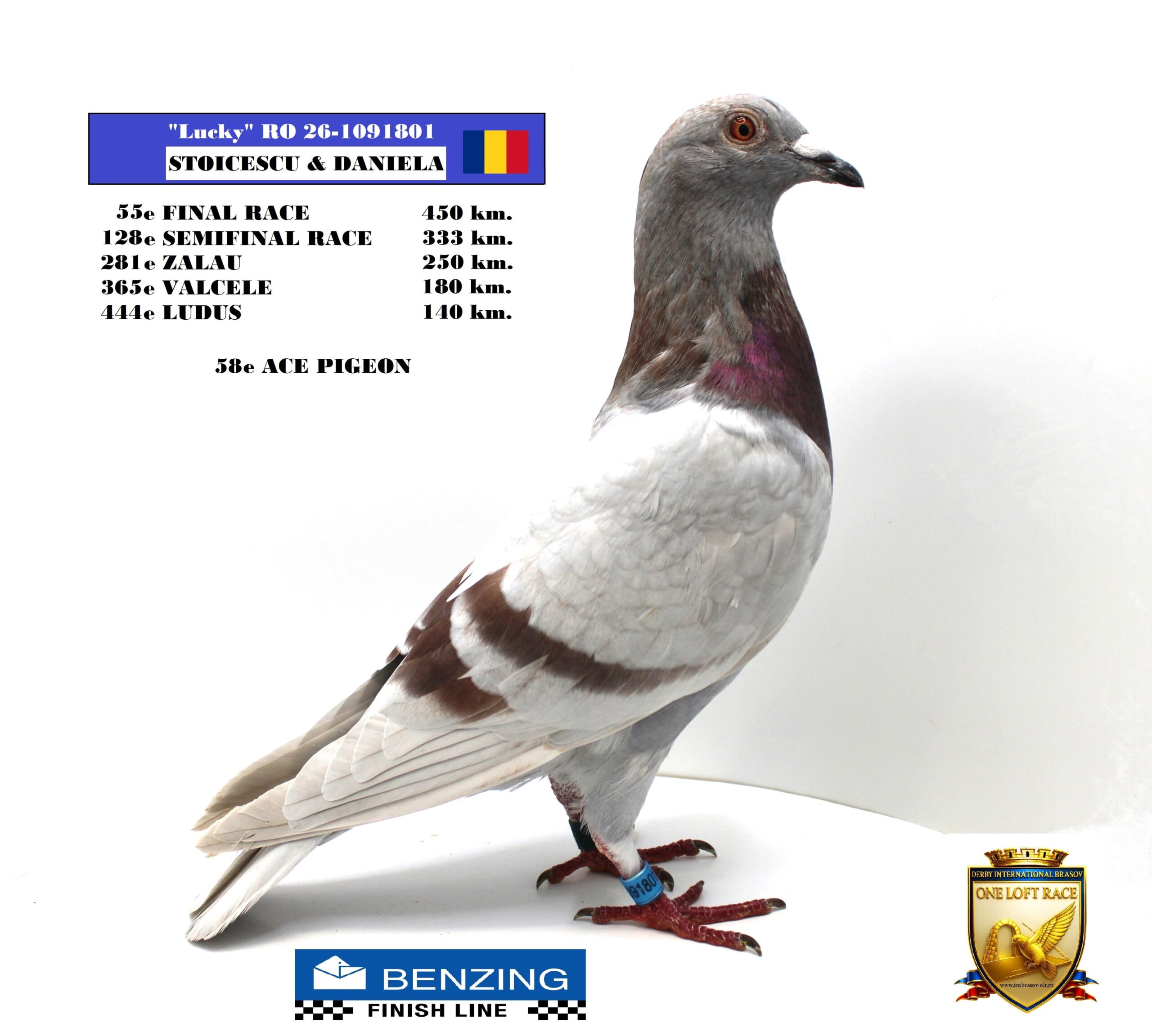 RO 26-1091801