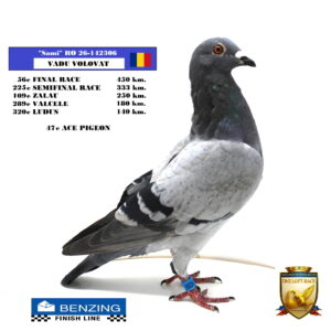 RO 26-1420306