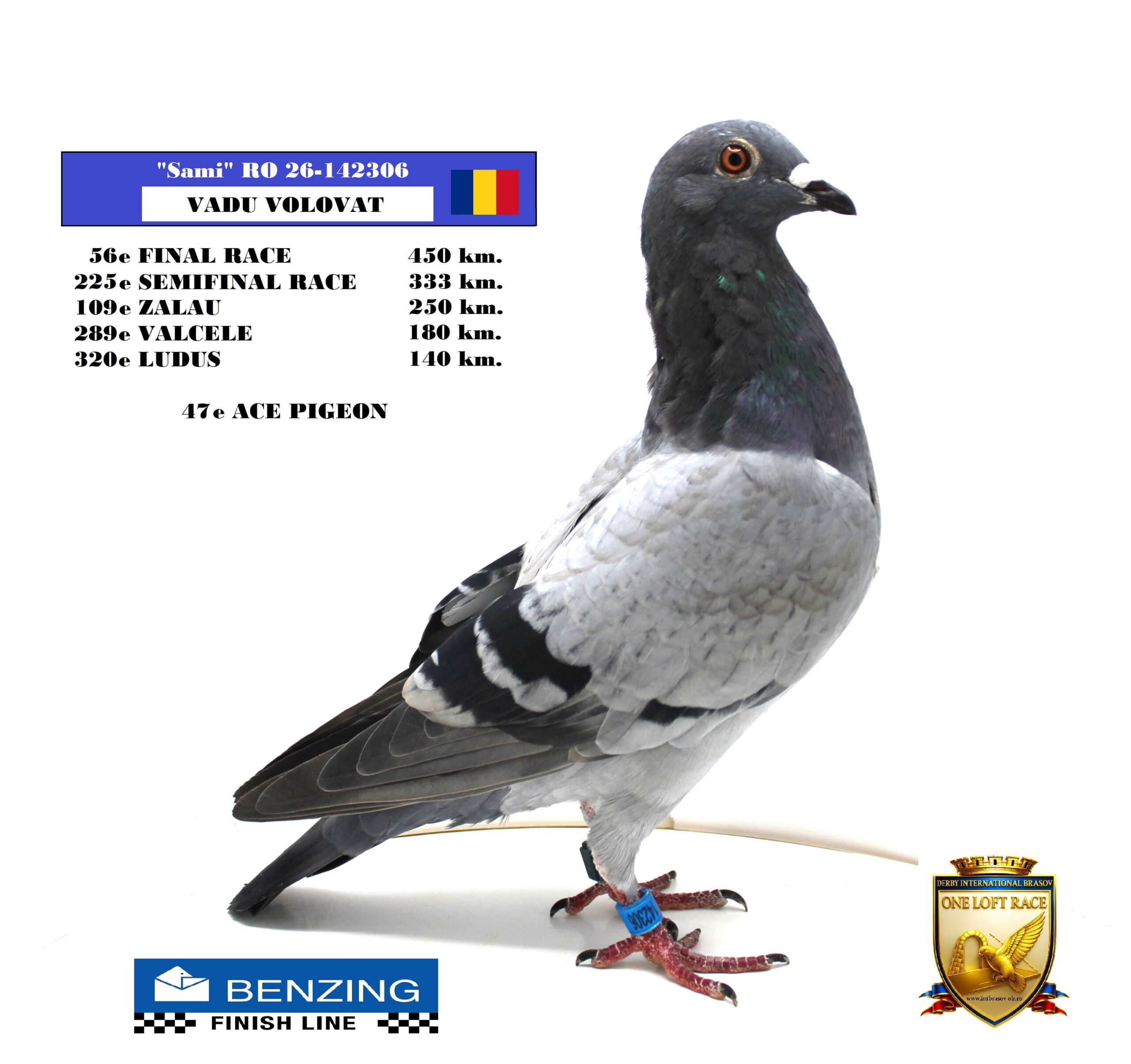 RO 26-1420306