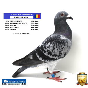 RO 26-0886620