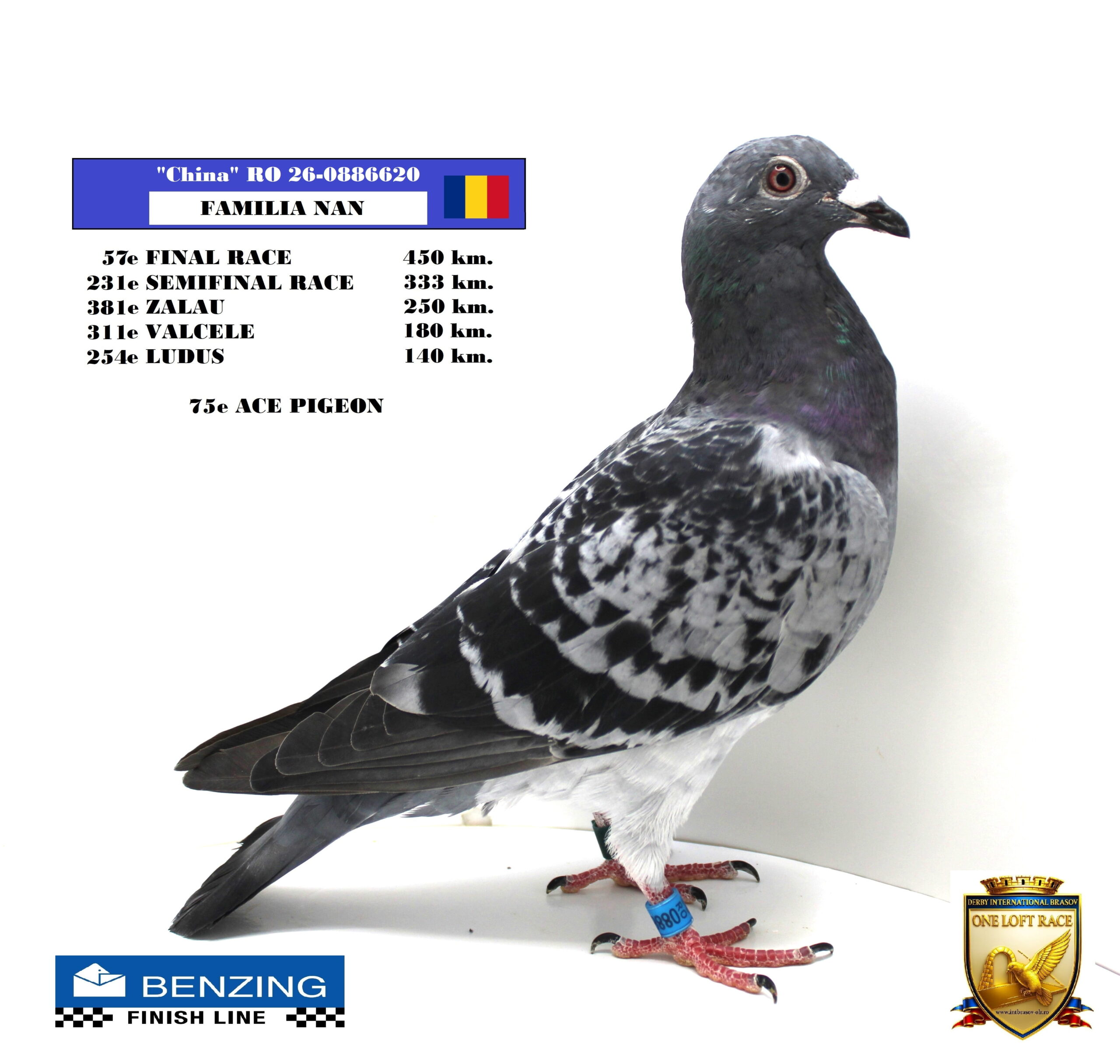 RO 26-0886620
