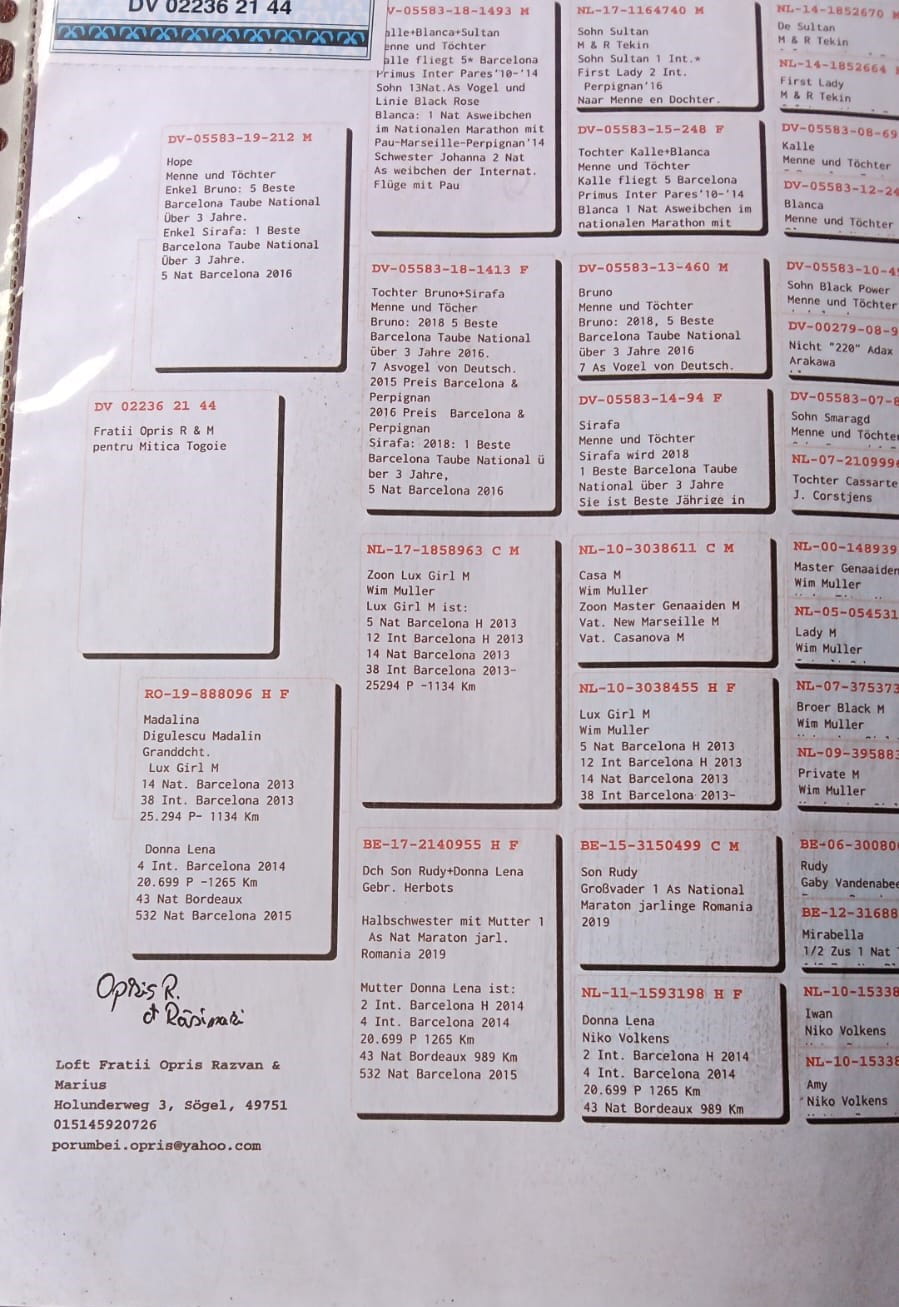 RO 26-042537 - Image 3