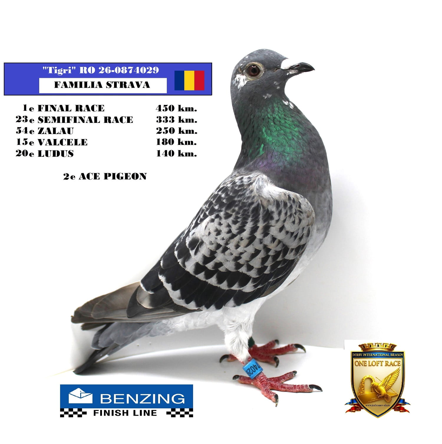 RO 26-0874029