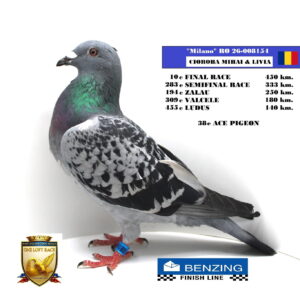 RO 26-008154