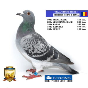RO 26-008174