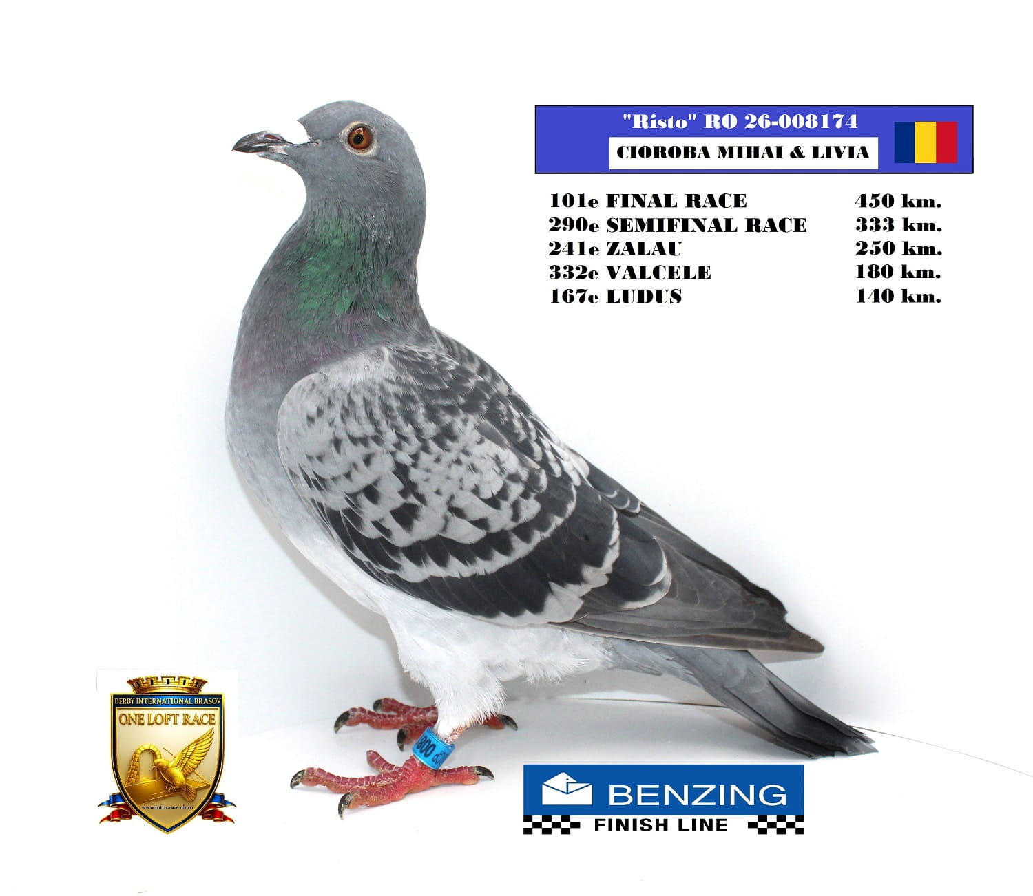 RO 26-008174