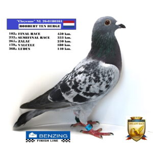 NL 26-8180361