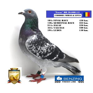 RO 26-008145