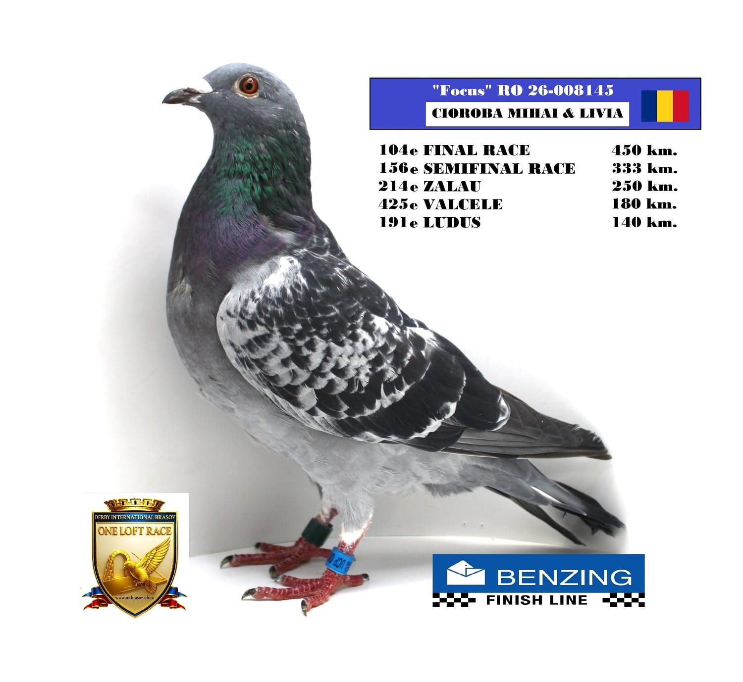 RO 26-008145