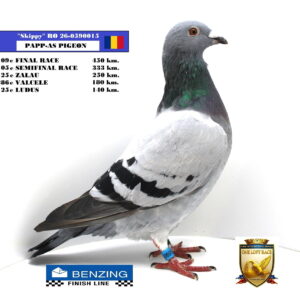 RO 26-0590015