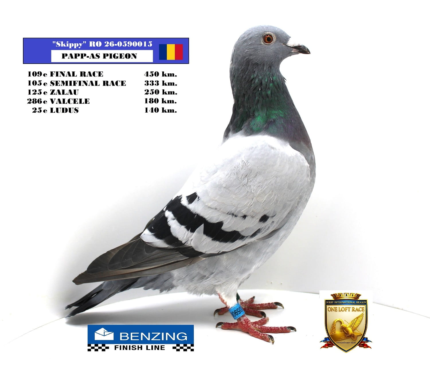 RO 26-0590015