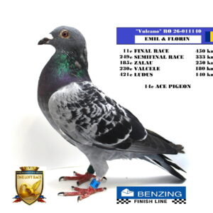 RO 26-011140