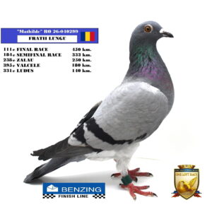 RO 26-040299