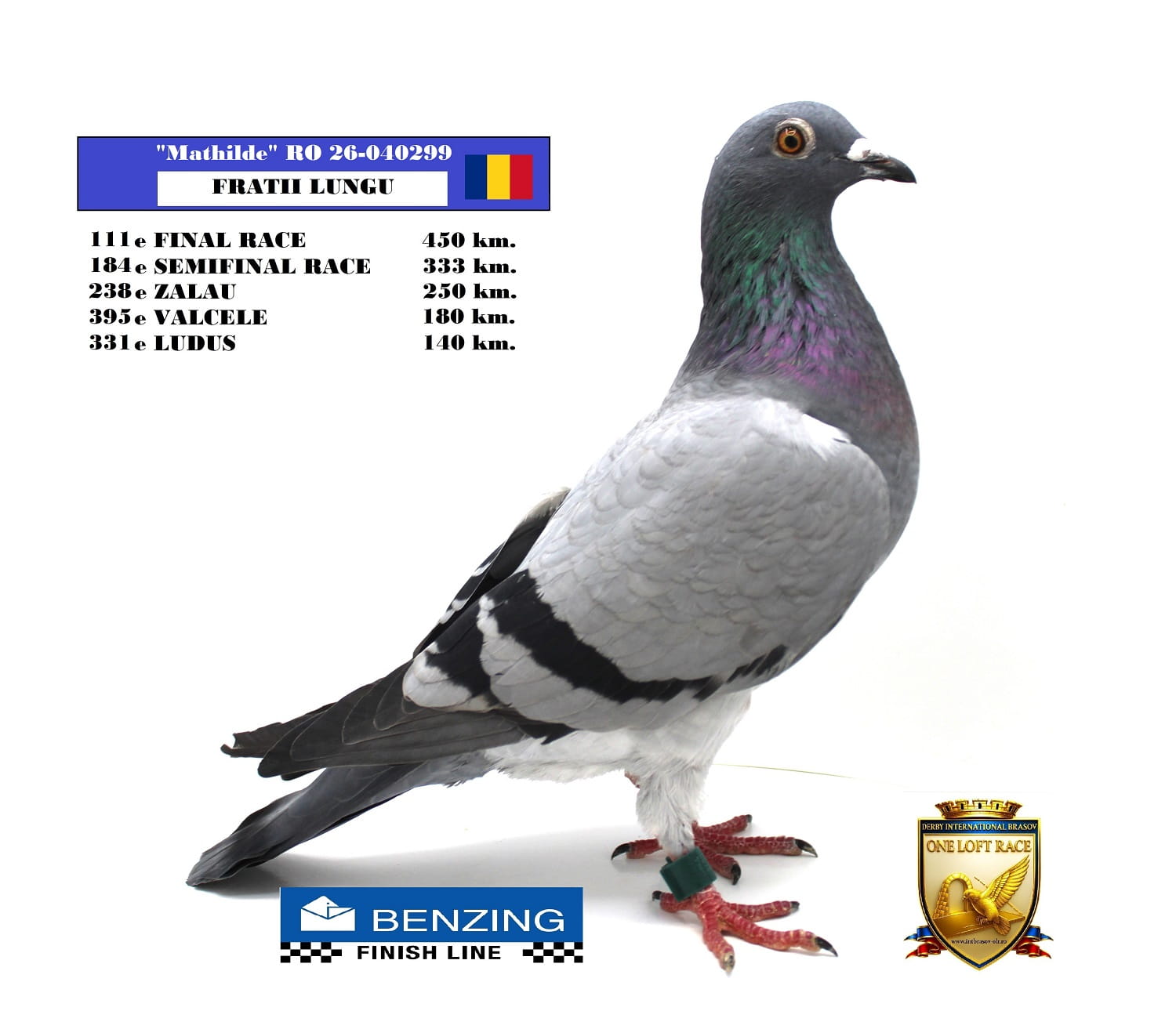 RO 26-040299