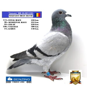 RO 26-0875501
