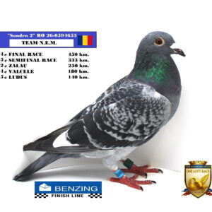 RO 26-0594653
