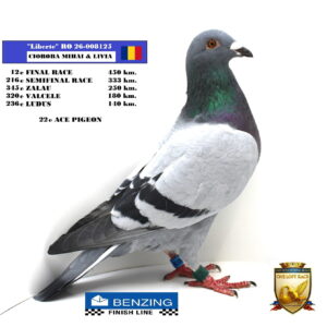 RO 26-008125