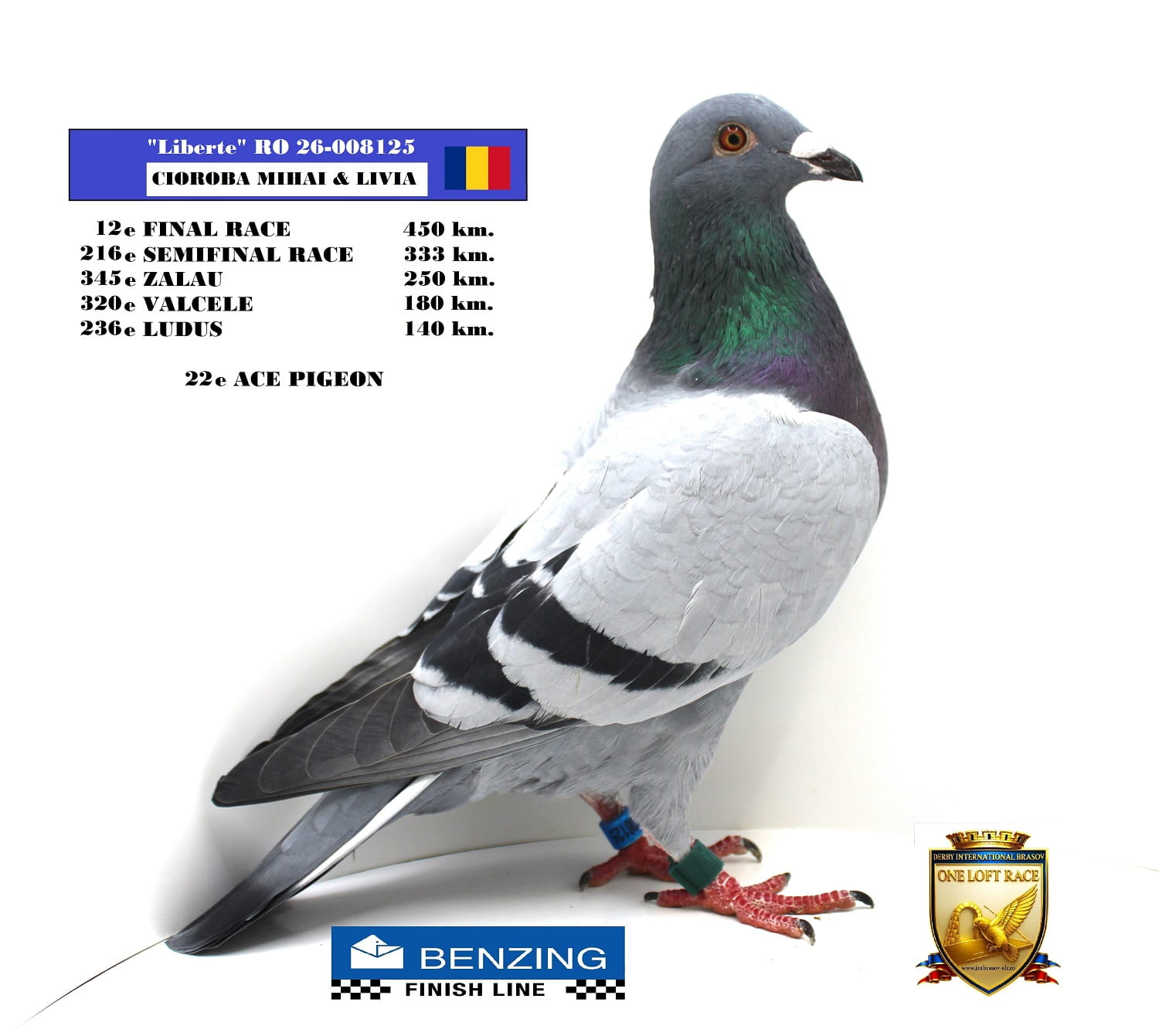 RO 26-008125