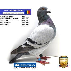 RO 26-0470262