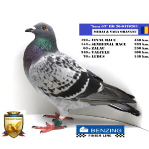 RO 26-0470263