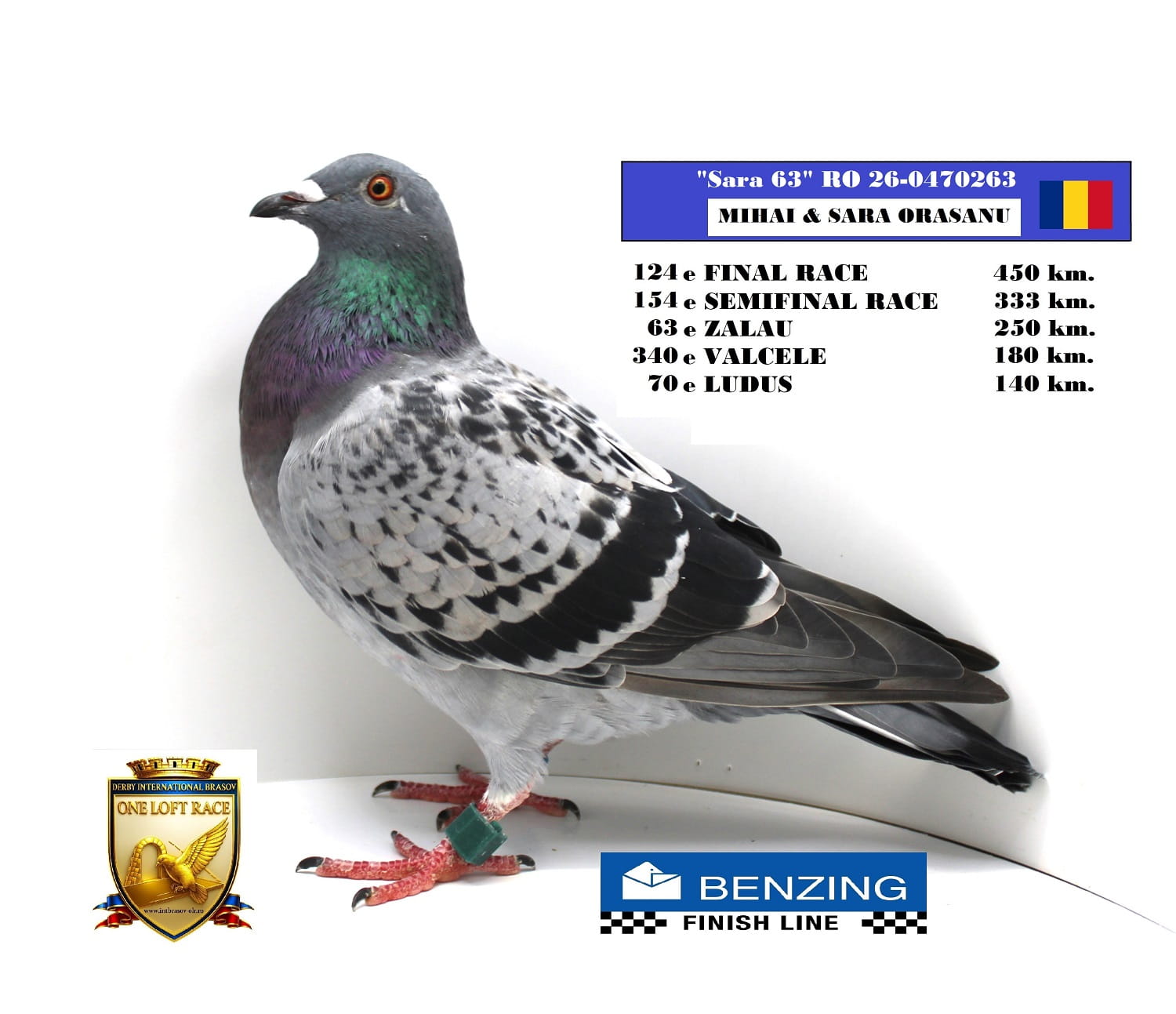 RO 26-0470263