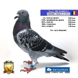 RO 26-008124