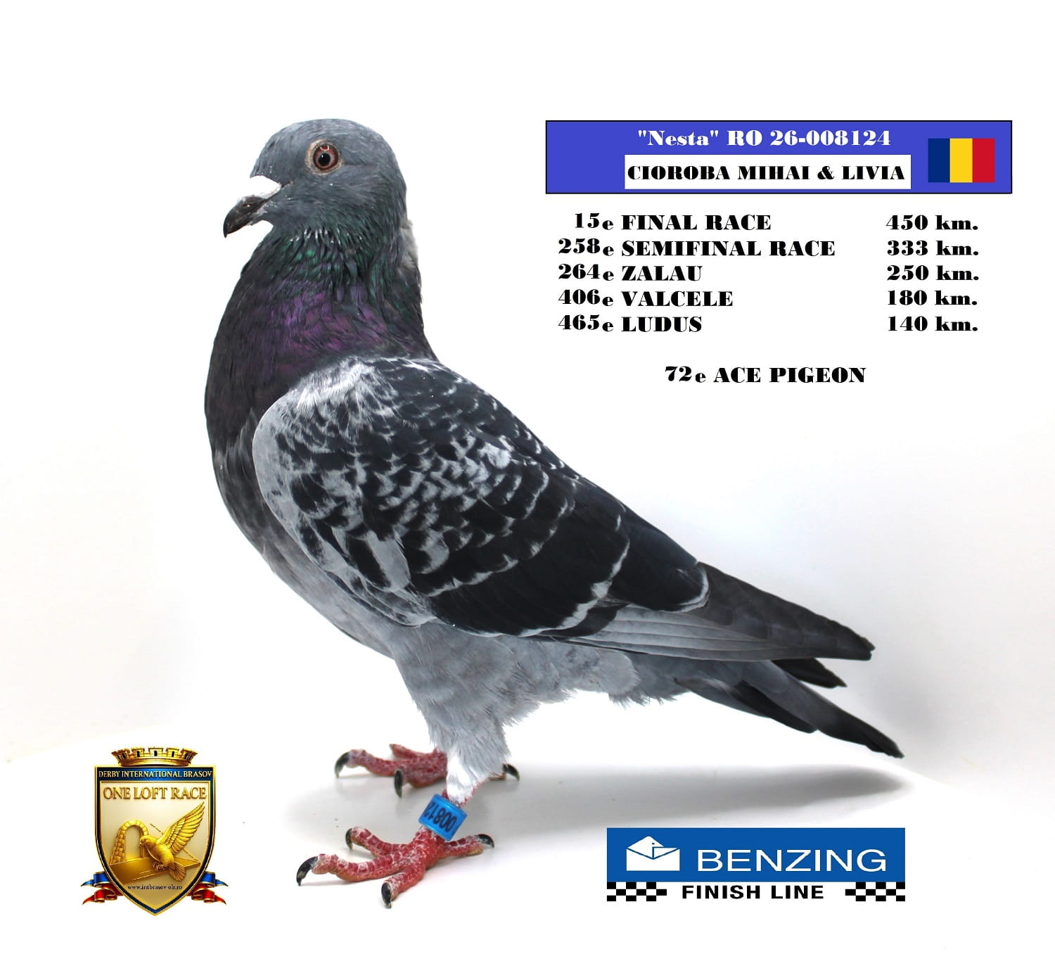 RO 26-008124