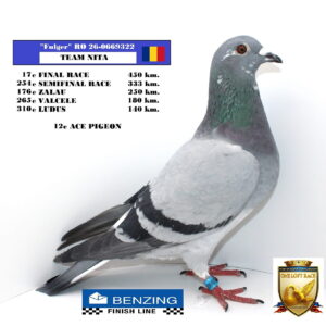 RO 26-0669322