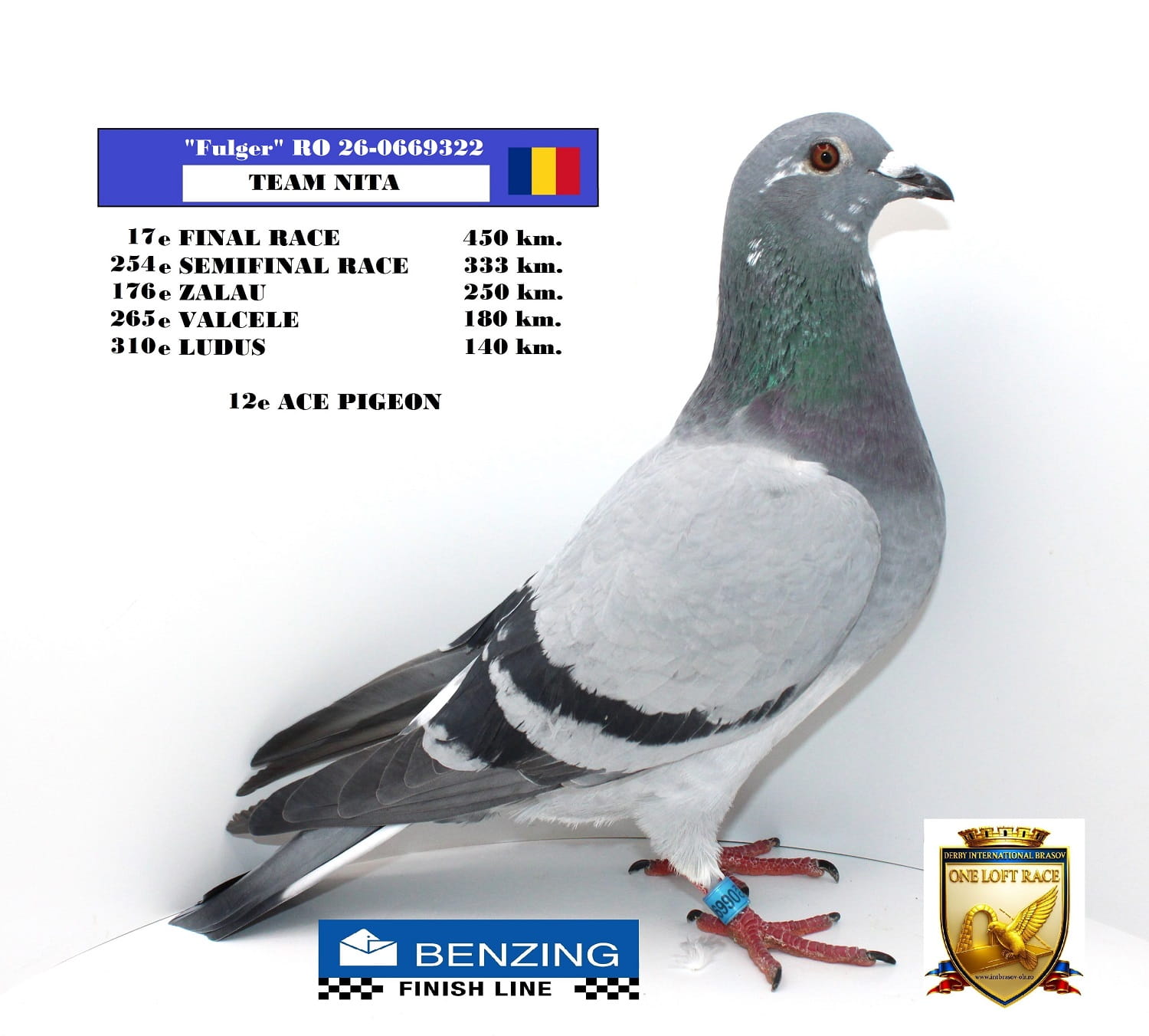 RO 26-0669322