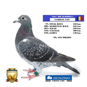 RO 26-0886611