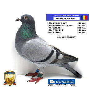 RO 26-0590005