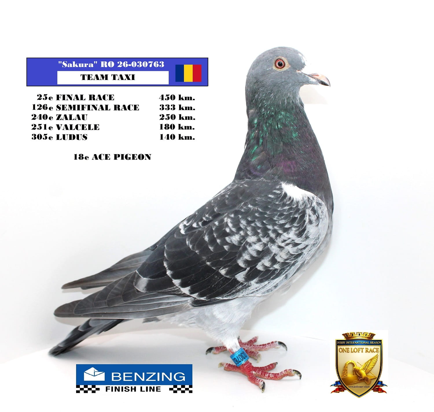 RO 26-030763