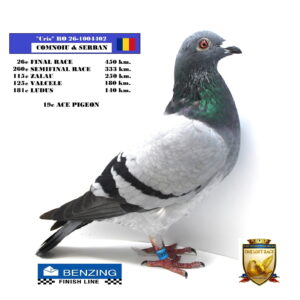 RO 26-1004402