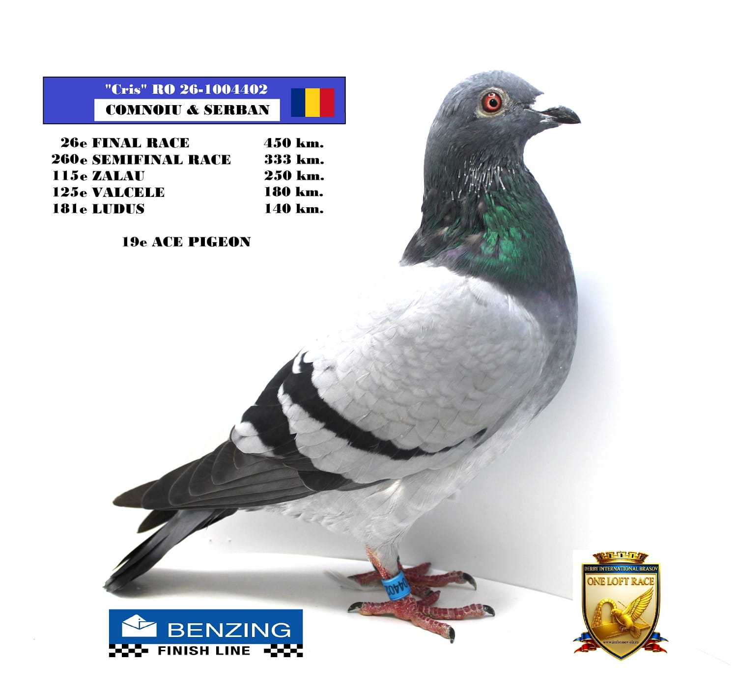 RO 26-1004402