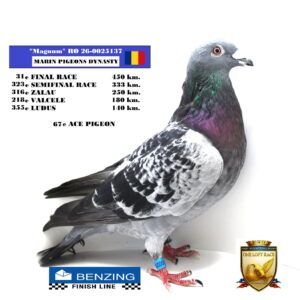 RO 26-0025137