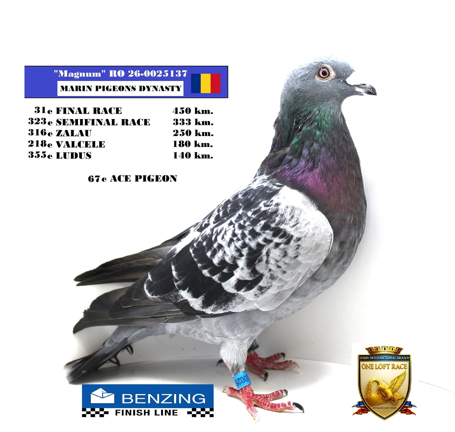 RO 26-0025137
