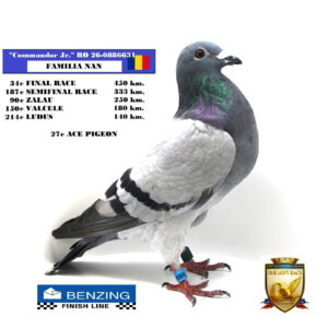 RO 26-0886631