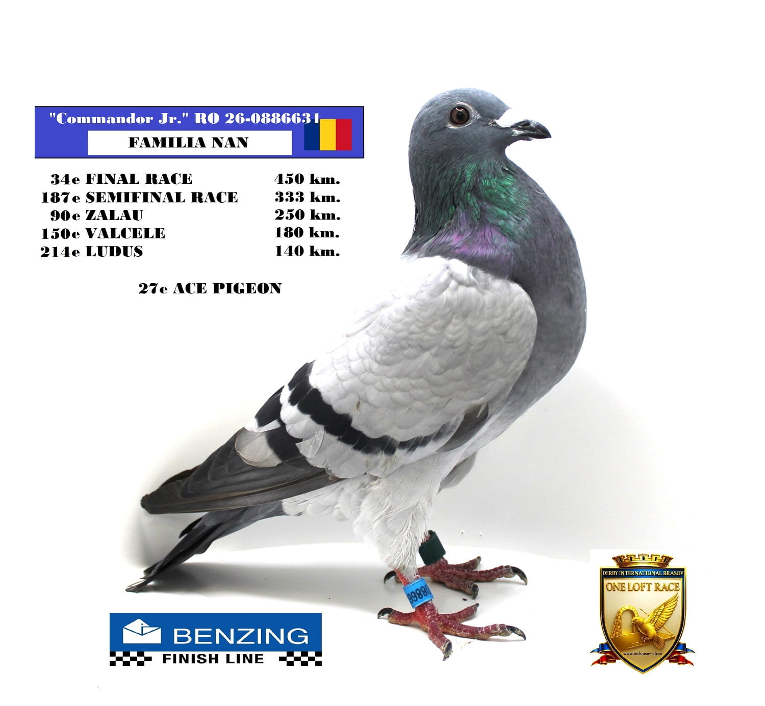 RO 26-0886631