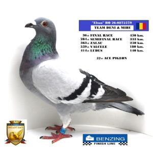 RO 26-0872579