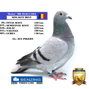 RO 26-0514204