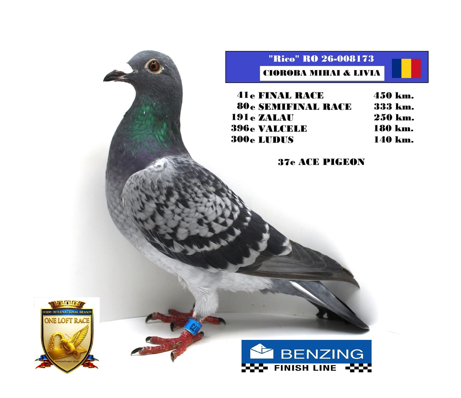 RO 26-008173