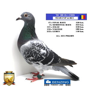 RO 26-147006